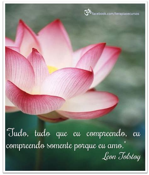 www.facebook.com/terapiasecursos www.terapiasecursos.com.br My Flower, Flower Garden, Beautiful ...
