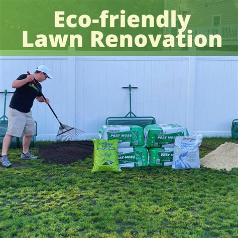 Eco-friendly Tips for Sustainable Lawn Renovation - Landzie