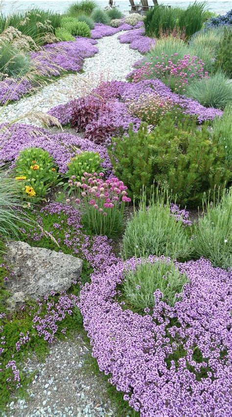 74 best images about Gravel Gardens on Pinterest | Gardens, Plants and Gravel path