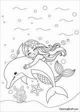 Mermaid And Dolphin Coloring Pages  ColoringDraftcom sketch template