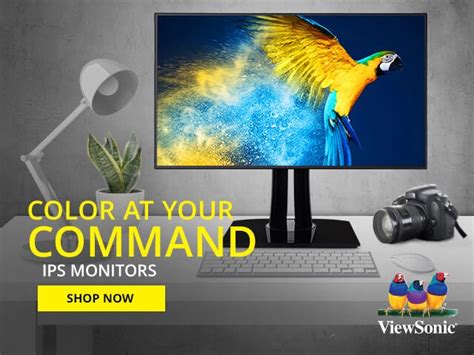 What is an IPS Monitor? Monitor Panel Types Explained - ViewSonic Library