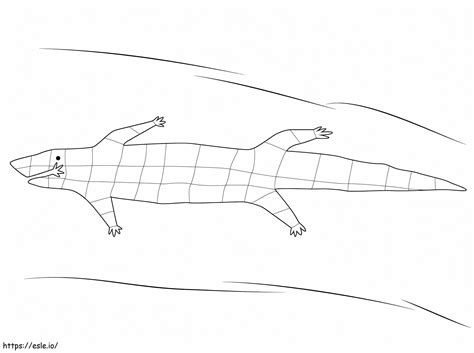 Aboriginal Crocodile coloring page