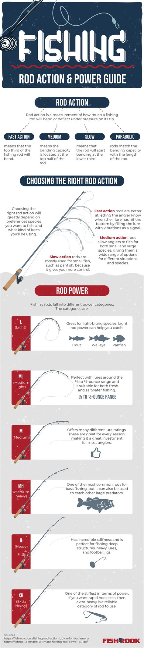 Fishing Rod Action Guide for Beginners - FishRook