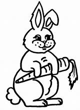 Bunny Coloring Pages  Best For Kids sketch template