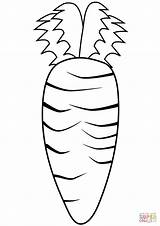 Carrot coloring Page  Free Printable Coloring Pages sketch template