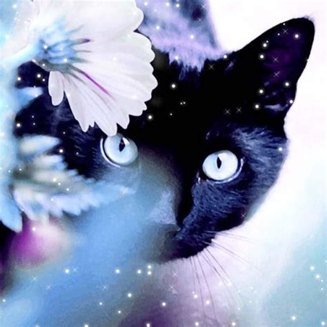 DIY Mystical Black Cat Diamond Painting Cross Stitch - Craft Kit ...