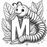 Millipede With Letter M 🐛🔠 Coloring Page sketch template