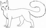 Warrior Cat Coloring Pages  Printable Sheets sketch template