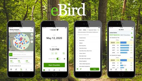 Apply Now: eBird Mini-Grants Available for Northeast RCPs