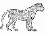 Panther Coloring Page For Art Enthusiasts  sketch template