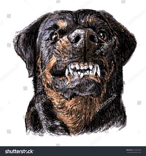 10,275 Angry Dog Drawing Images, Stock Photos & Vectors | Shutterstock