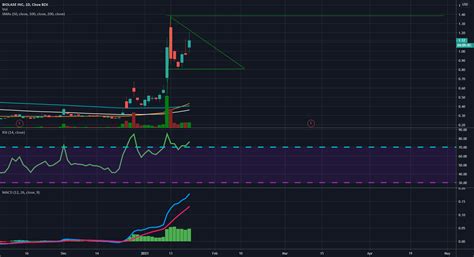 Bullish pennant. for NASDAQ:BIOL by Dc1392 — TradingView