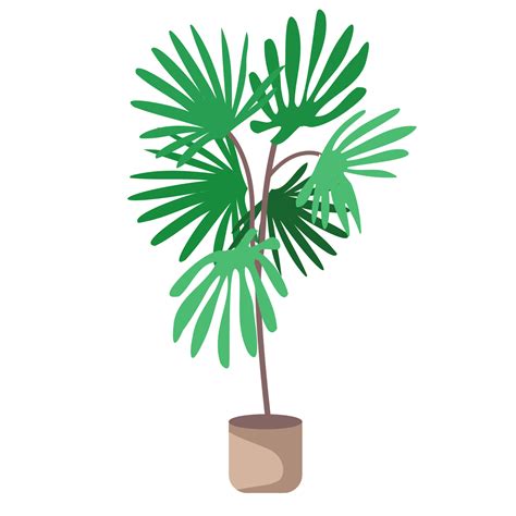 Vector Illustration of a Potted Palm Tree in a Modern Planter 21022121 ...