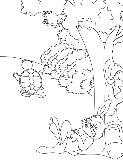 Tortoise Coloring Pages - Best Coloring Pages For Kids | Hare drawing ...