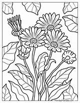 Free Printable Coloring Worksheets PDF Unleash Your Inner Artist sketch template