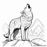 Coyote Coloring Pages  Free & Printable sketch template