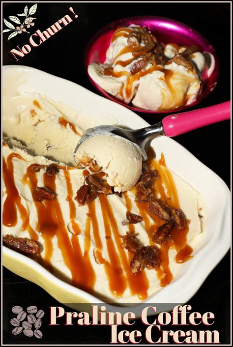 This flavorful frozen treat is creamy and delicious with a hint of coffee and sweet pecan ...