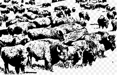 Bison clipart buffalo herd, Bison buffalo herd Transparent FREE for ...