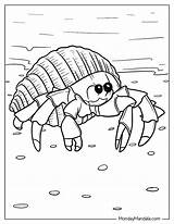 20 Crab Coloring Pages Free PDF Printables sketch template