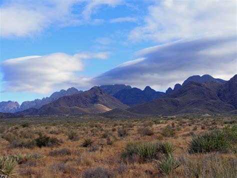 Desert Packrat: High Desert Hiking