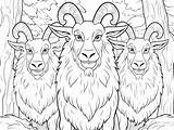 Three Billy Goats Gruff Adventure Artwork  Coloring Page sketch template
