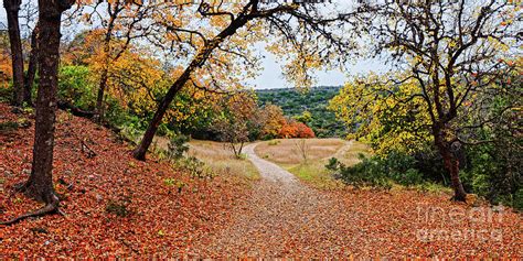 A Walk through the Maple Forest at Lost Maples State Natural Area - Vanderpool Texas Hill ...