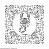 Scorpio Coloring Pages At GetColoringscom  Free Printable Colorings sketch template
