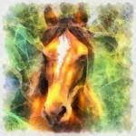 Horse, Watercolor, Digital Painting Free Stock Photo - Public Domain Pictures