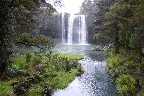 Whangarei Falls in Whangarei: 2 reviews and 14 photos