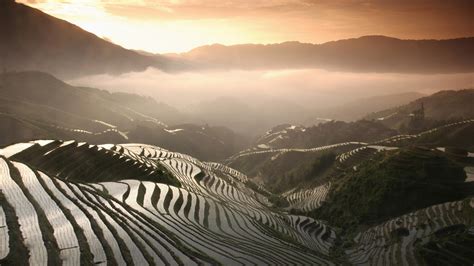 Rice terraces during sunrise HD wallpaper | Wallpaper Flare