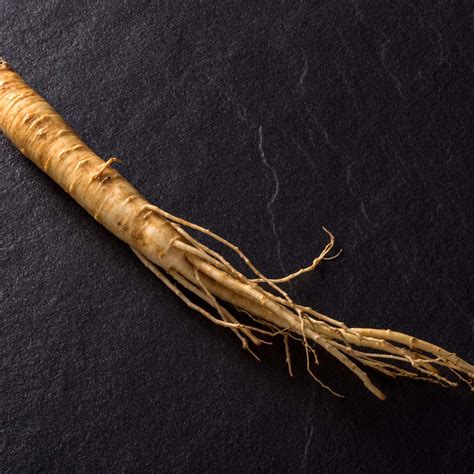 Ginseng Root Extract – Created By