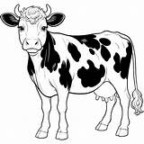 Cow Coloring Pages 13  Gem sketch template