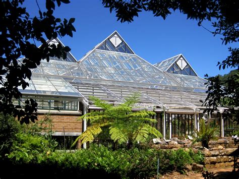 Greenhouse At Kirstenbosch Free Stock Photo - Public Domain Pictures