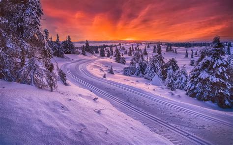 Norway, winter, snow, road, trees, sunset wallpaper | nature and landscape | Wallpaper Better