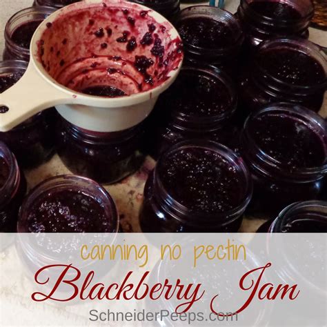 An Easy Blackberry Jam Recipe for Canning or Freezing | SchneiderPeeps