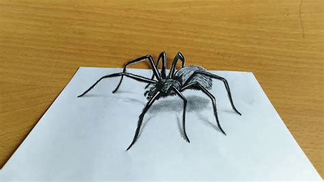 3d Spider Drawing