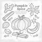 Spice Coloring Sheets Vectors & Illustrations For Free Download sketch template