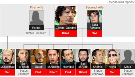 War News Updates: The Gaddafi Family: Who Is Dead, Wounded, In Hiding, Or Have Fled To Another ...