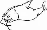 Flathead Catfish Coloring Page Pages sketch template