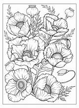 Flowering Coloring Pages sketch template