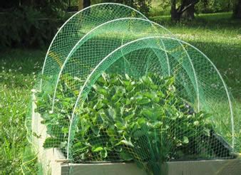 Garden Netting Prevent Pests, Animals and Birds