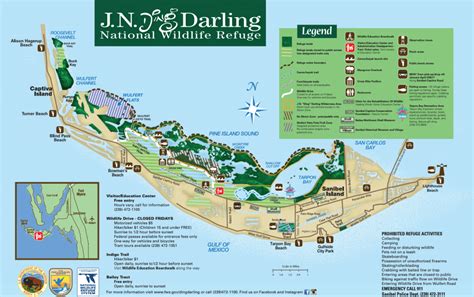 The Ultimate Guide to the Ding Darling Wildlife Refuge on Sanibel Island