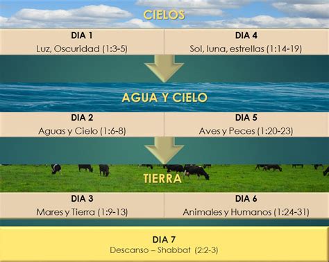 Génesis 1: 20-23 – Día cinco: La creación de las aves y los peces | La Sagrada Palabra