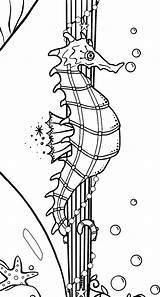 Mermaid Sand Timer Coloring Page PDF  Etsy sketch template