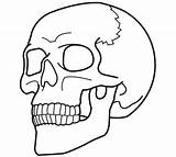 25 Free Printable Skull Coloring Pictures For Halloween sketch template