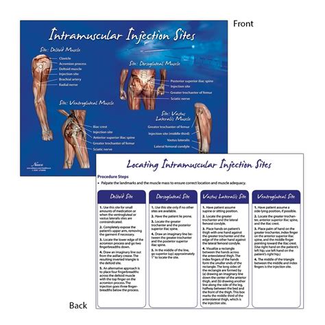 Life/form Intramuscular Injection Sites TearPad