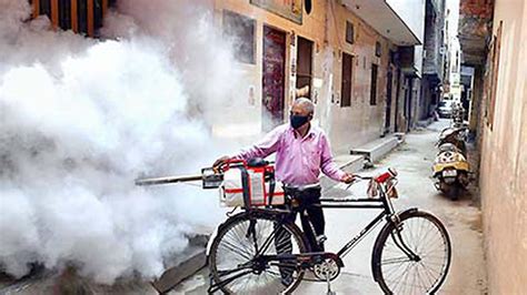 ‘862 more dengue cases under investigation, surge to continue’ - The Hindu