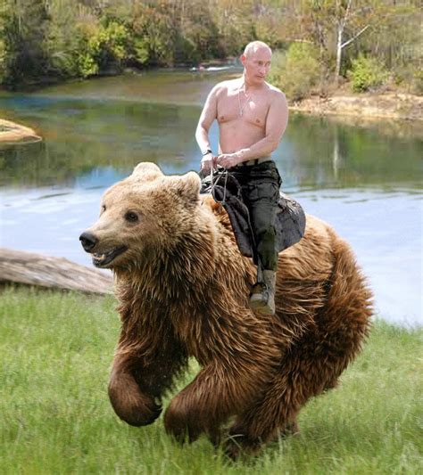 Vlad Putin Riding A Bear