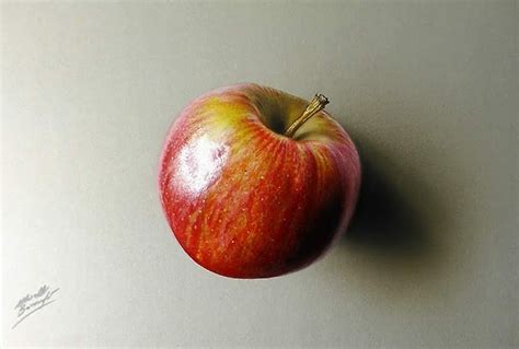 Realistic Apple Drawing at PaintingValley.com | Explore collection of Realistic Apple Drawing