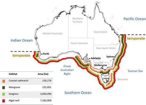 Frontiers | Review of Coast and Marine Ecosystems in Temperate Australia Demonstrates a Wealth ...